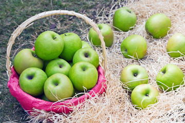 juicy green apples in basket