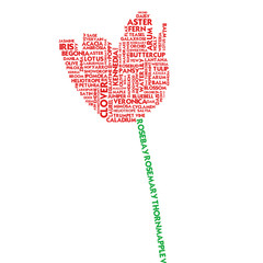 Word cloud flower