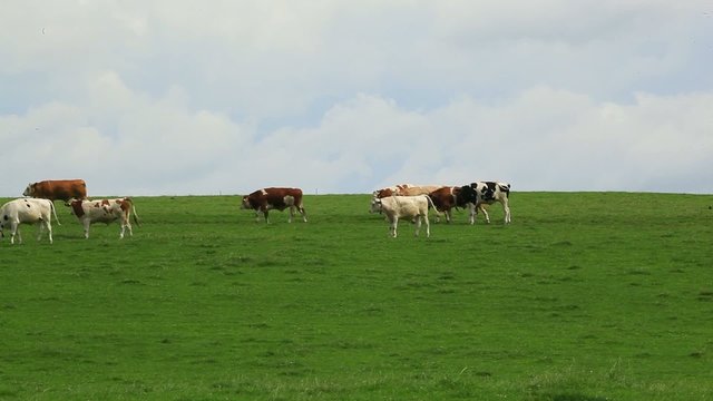k&uuml;he