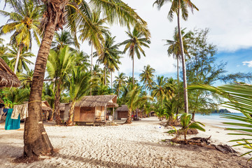 Exotic tropical beach.