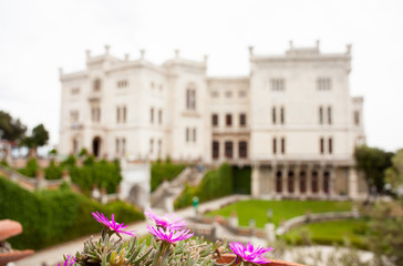 View of Miramare castle, Trieste