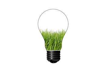 Bulb with grass inside isolated on white background , green eco