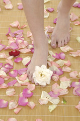 Obraz na płótnie Canvas Feet surrounded by rose petals