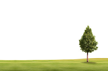 field landscape with trees isolated on white background
