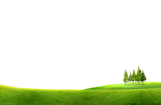 field landscape with trees isolated on white background