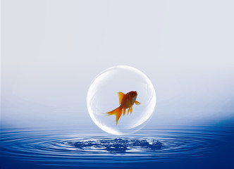 gold fish with abstract water background