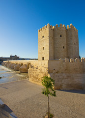 Torre Calahorra, Cordoba, Spain