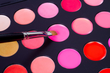 professional make-up multicolor palette with brush