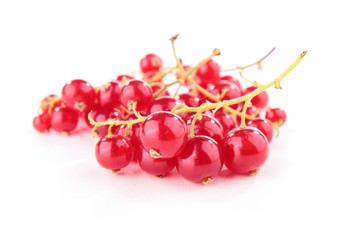 isolated redcurrant