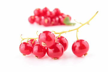 isolated redcurrant