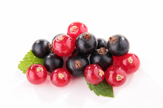 isolated blackcurrant and redcurrant