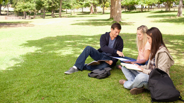 Tutoring in a sunny park