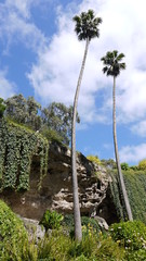 Fototapeta premium Bepflanzter Erdrutsch