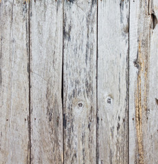 Fototapeta premium the old wood planks