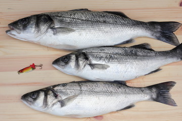 Sea bass