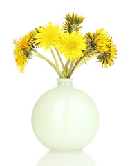 Dandelion flowers in vase isolated on white