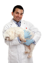 Veterinarian carrying a pet dog