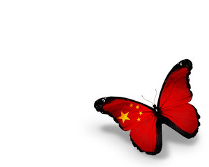 Chinese flag butterfly, isolated on white background