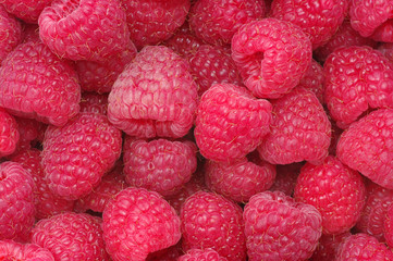 raspberry background