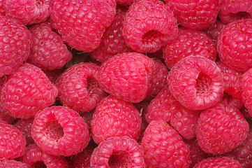 raspberry background