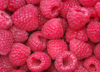 raspberry background