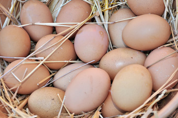 Uova fresche su un cesto di paglia