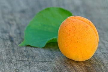 Apricot on a wooden table