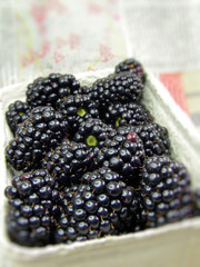 Brombeeren in Schale © gerald
