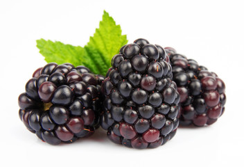 Group ripe blackberry