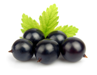black currant with leafs