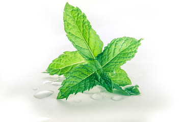 Hojas de menta © Skab3txina