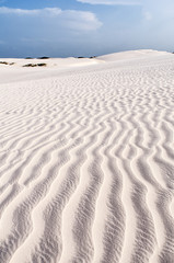Fototapeta na wymiar Sand dunes of the Lencois Maranheses in Brazil