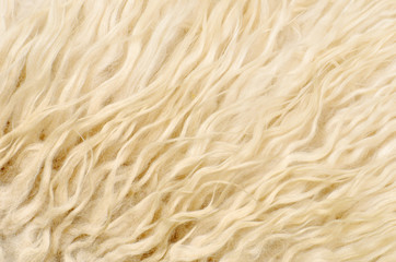 close up sheepskin texture background