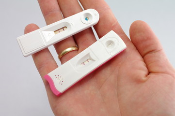 Test ciążowy w dłoni - obrazy, fototapety, plakaty