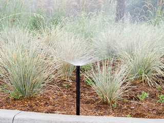 Close up of Garden Sprinkler