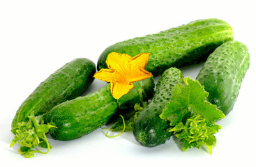 cucumber closeup