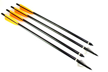 Arrows with Broadhead and Practice Points