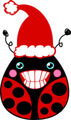 Natale Coccinella