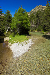river in national park Aiguestortes i estany de Sant Maurici