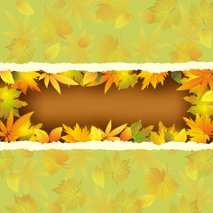 Wallpaper background with autumn leaves