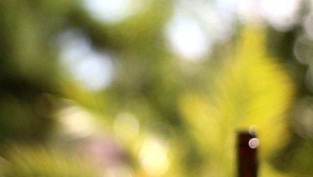 red wine tracking, glass in front, bottle and palms behind