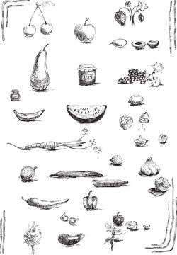 fruits and vegetables, hand drawing