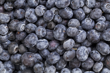 blueberry texture background