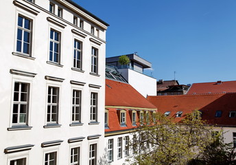 Balcon sur les toits avec peit arbre.