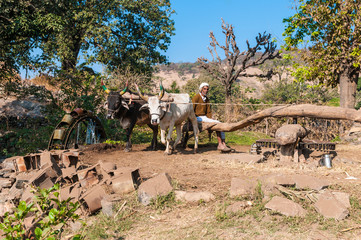 Bewässerungsanlage im ländlichen Rajasthan, Indien