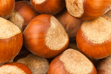hazelnuts