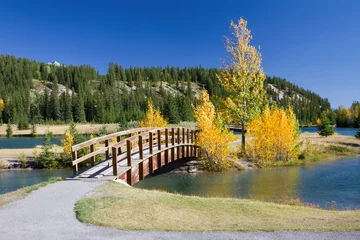 Photo sur Plexiglas Automne Autumn in Banff National Park, Alberta, Canada