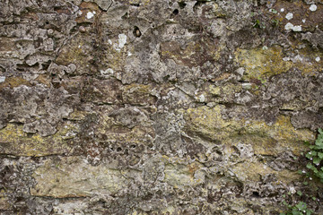 Old Stone Wall I