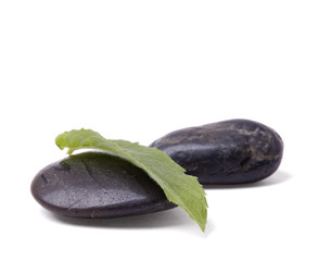 Fresh mint on the stones on white