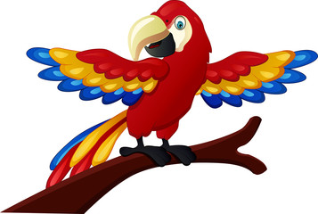 funny macaw bird cartoon